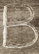 Wall_Art_Alphabet_Photography_Art_ 269